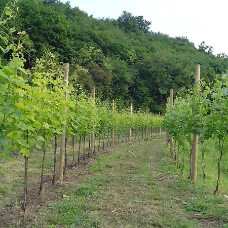 Sambuco Пастренго