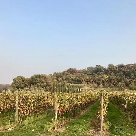 Séjour à la ferme Sambuco Pastrengo
