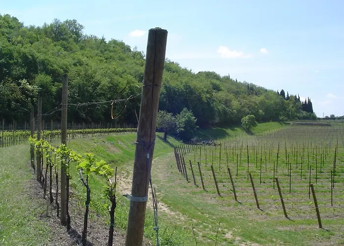 Sambuco Vakantieboerderij Pastrengo