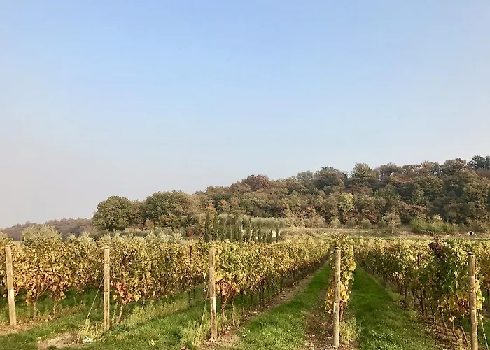 Farm stay Sambuco Pastrengo